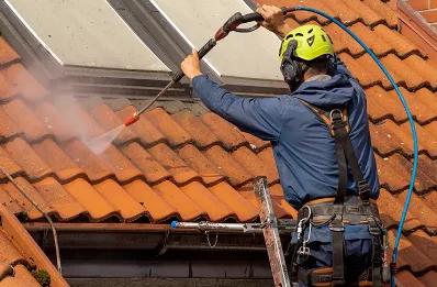 Démoussage et hydrofuge de toiture à Mesmont